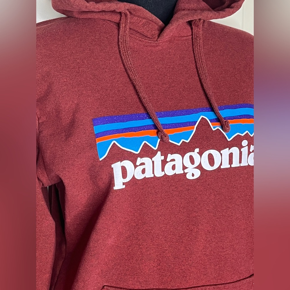 Patagonia Brick Red Hoodie with Logo